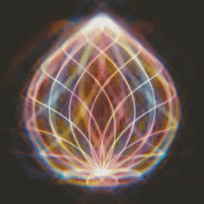 a painting of a lotus flower with a grid pattern