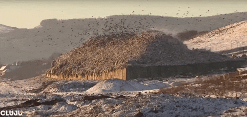 a large pile of snow is surrounded by a fence and birds flying around it