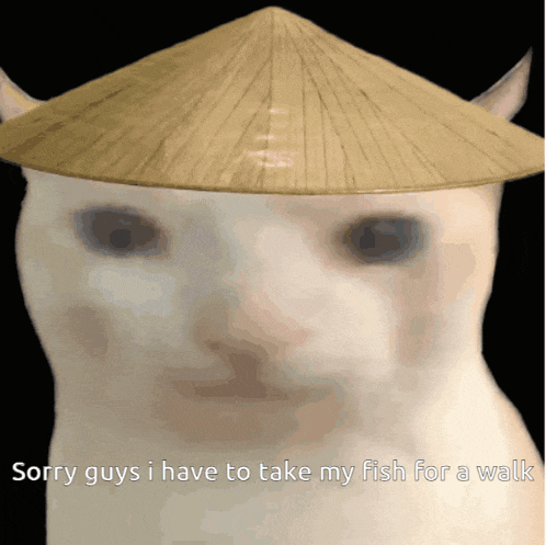 a white cat wearing a conical hat with the caption sorry guys i have to take my fish for a walk