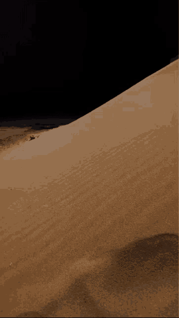 a person is standing on top of a sand dune at night