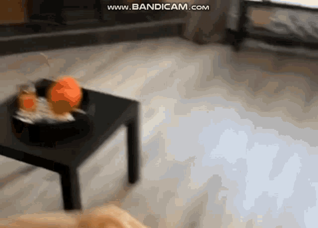 a blurred image of a living room with the words www.bandicam.com in the corner