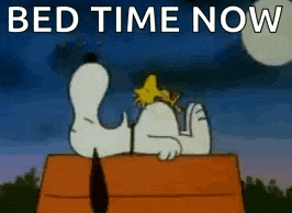 a cartoon of snoopy and woodstock laying on top of a doghouse .