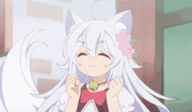 a girl with white hair and a cat ear has a bell around her neck .