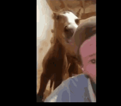 a woman is taking a selfie with a horse .