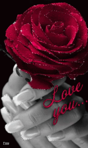 Red Rose Rose GIF - Red Rose Rose Love You GIFs