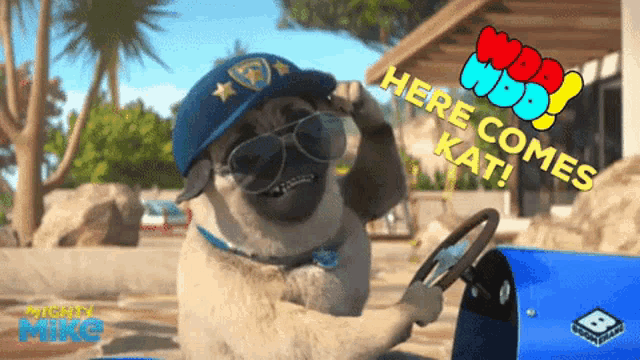 a pug wearing sunglasses and a hat is driving a blue car with the words here comes kati written on the bottom