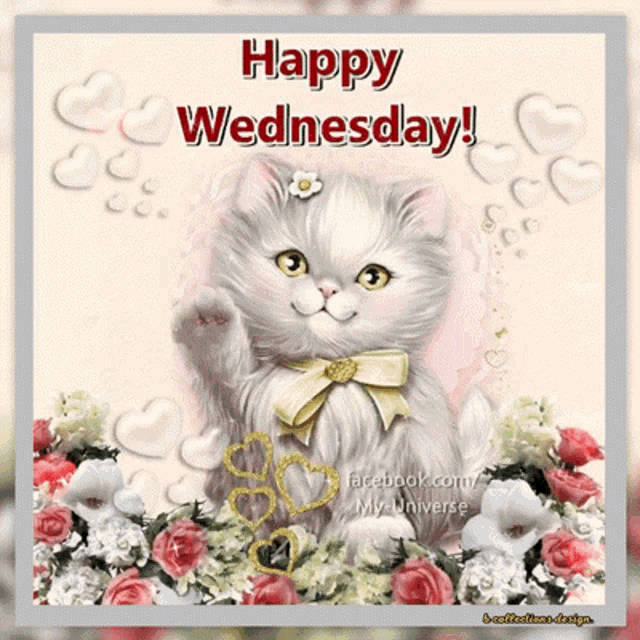 a happy wednesday card with a white cat