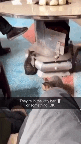a snapchat of a person sitting at a table with a caption that says they 're in the kitty bar