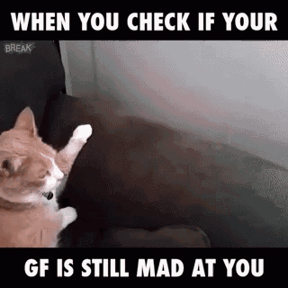 Cats Animation GIF - Cats Animation Still Mad GIFs