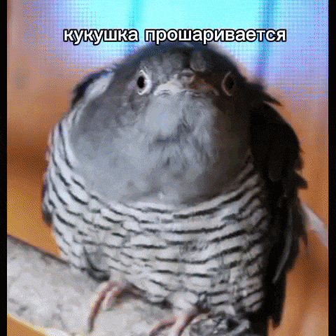 a bird is sitting on a branch with a caption in a foreign language