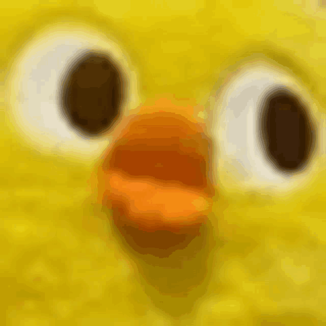 a close up of a yellow stuffed animal with big eyes and a orange beak .