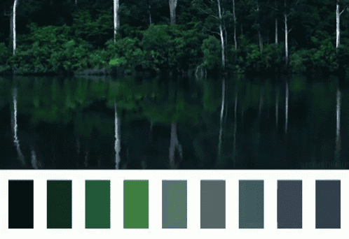 a picture of a lake surrounded by trees with a palette of different shades of green