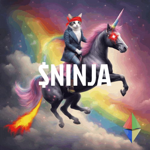 a cat is riding on the back of a unicorn with the word ninja on it