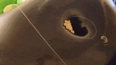 a close up of a plastic container with a hole in the middle
