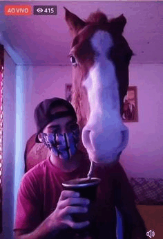 Horse Mate GIF - Horse Mate GIFs