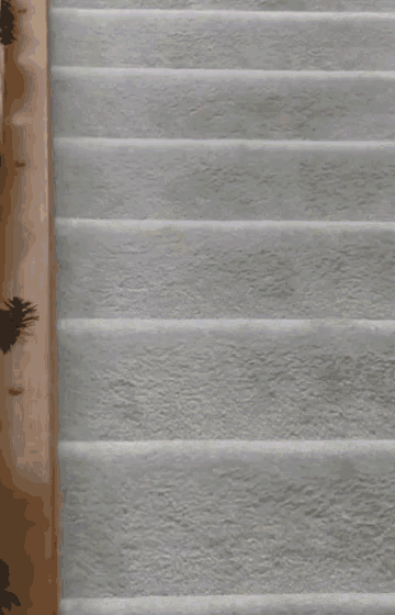 Stairs Slide GIF - Stairs Slide Fall GIFs