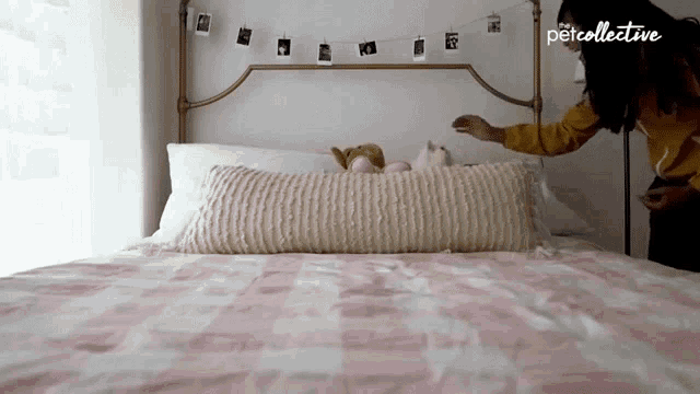 a woman reaches for a pillow on a bed that says petcollective on it