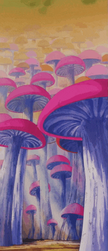 a bunch of pink and purple mushrooms are growing in a forest