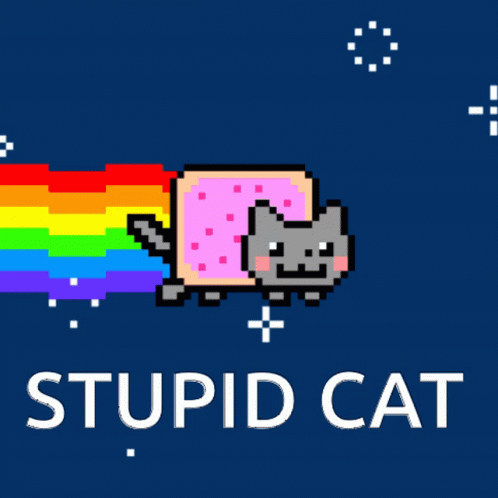 Stupidcat GIF - Stupidcat GIFs