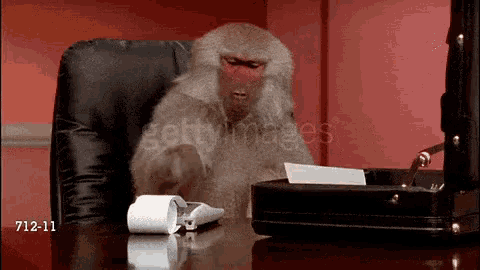 Baboon Workaholic GIF - Baboon Workaholic Not Working GIFs