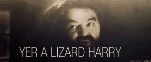 Yer A Lizard Harry Hagrid GIF - Yer A Lizard Harry Hagrid GIFs