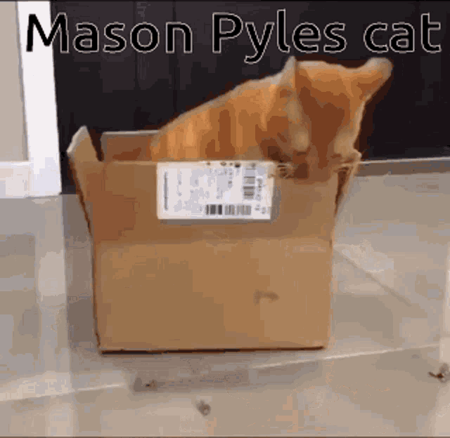 Mason Pyles GIF - Mason Pyles GIFs