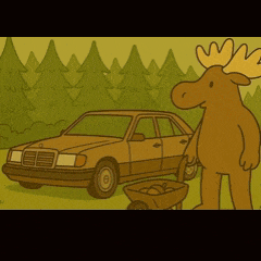 a moose is standing in front of a car