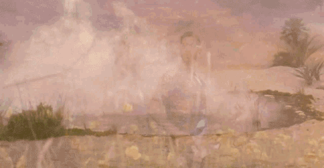 a man is playing a guitar in a field of dandelions .