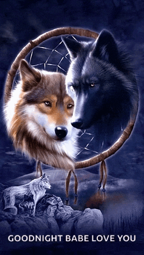 a painting of two wolves in a dream catcher with the words goodnight babe love you below them