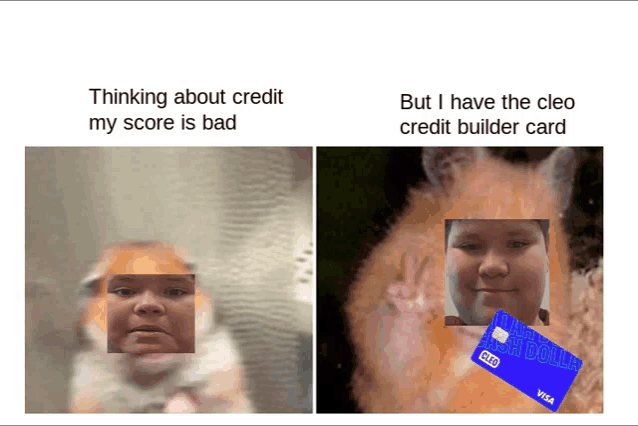 a picture of a cat and a picture of a boy with a visa card on it