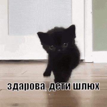 a small black kitten is walking on a wooden floor in front of a door in a room .