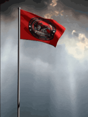 a red flag flying in the wind with a logo on it that says ' panthers ' on it