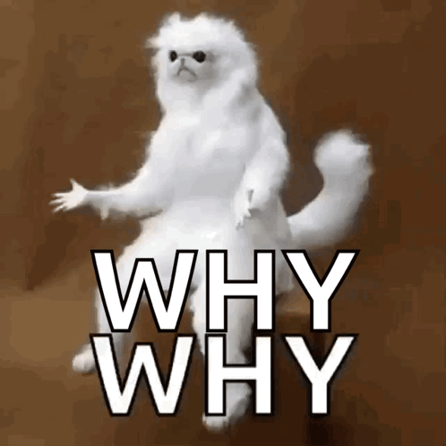 Why Whyy GIF - Why Whyy But Why GIFs