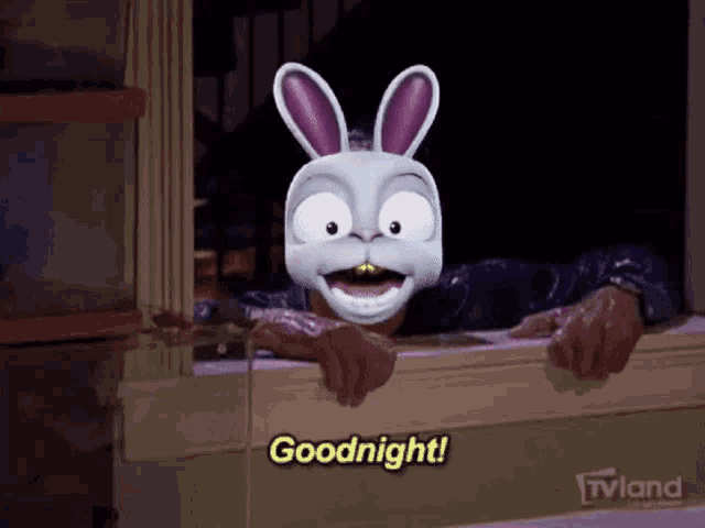 a cartoon bunny says goodnight while looking out a window