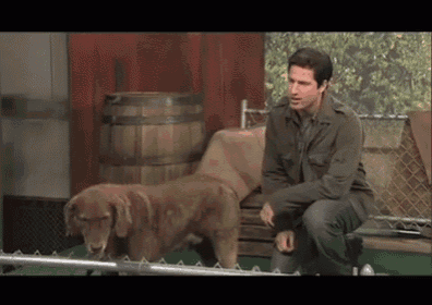 a man is sitting next to a brown dog
