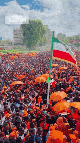 a large crowd of people are gathered in a park with a flag in the foreground that says taax
