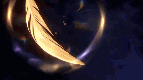 a person is holding a feather in their hands