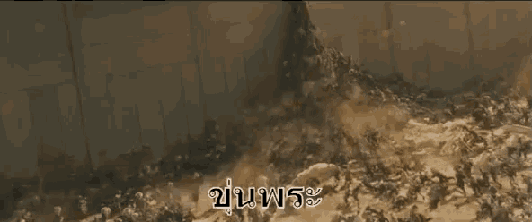 a large group of people are walking through a flooded area with the words " tsunami " written on the bottom