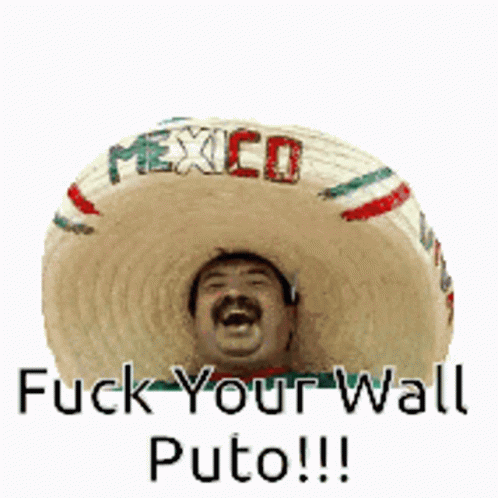 Wall Mexico GIF - Wall Mexico Mexicans GIFs