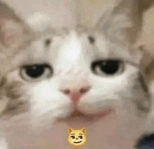 a close up of a cat 's face with a smiley face on its face .