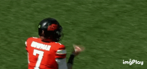 a football player wearing a red jersey and a black helmet is running on the field .