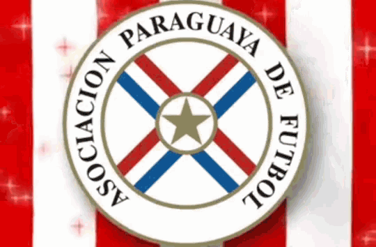 Asociacion Paraguaya GIF - Asociacion Paraguaya Albirroja GIFs
