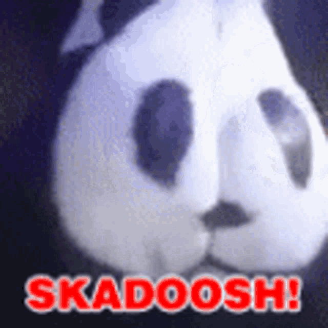 a picture of a panda bear with the words skadooosh written on it