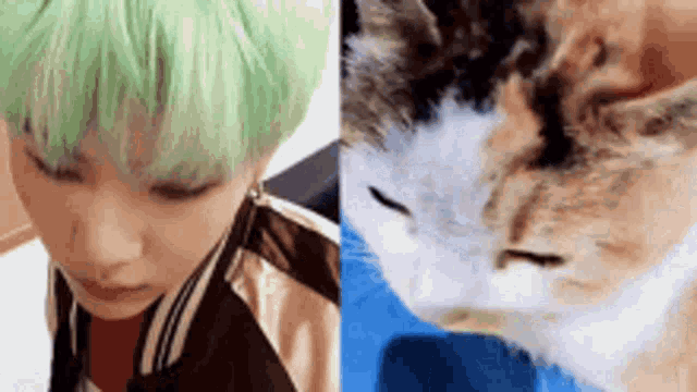 a close up of a person with green hair next to a close up of a calico cat .