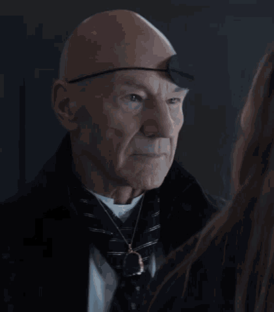 Subrote Yes GIF - Subrote Yes Picard GIFs