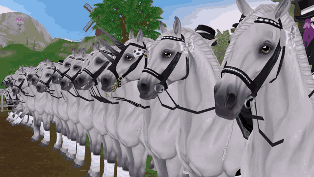 a row of white horses wearing black bridles and socks