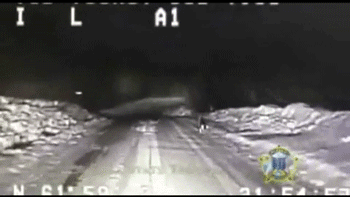 The Cops Didn'T Have Any Gps Or Prior Directions, They Were Totally Reliant On The Dog'S Guidance. GIF - Dog Cop Car GIFs