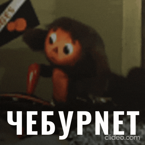 a close up of a stuffed animal with the word cheburnet on the bottom right