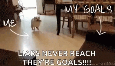 Dog Couch GIF - Dog Couch Fail GIFs