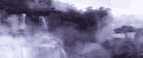 Panther Fog GIF - Panther Fog Forest GIFs